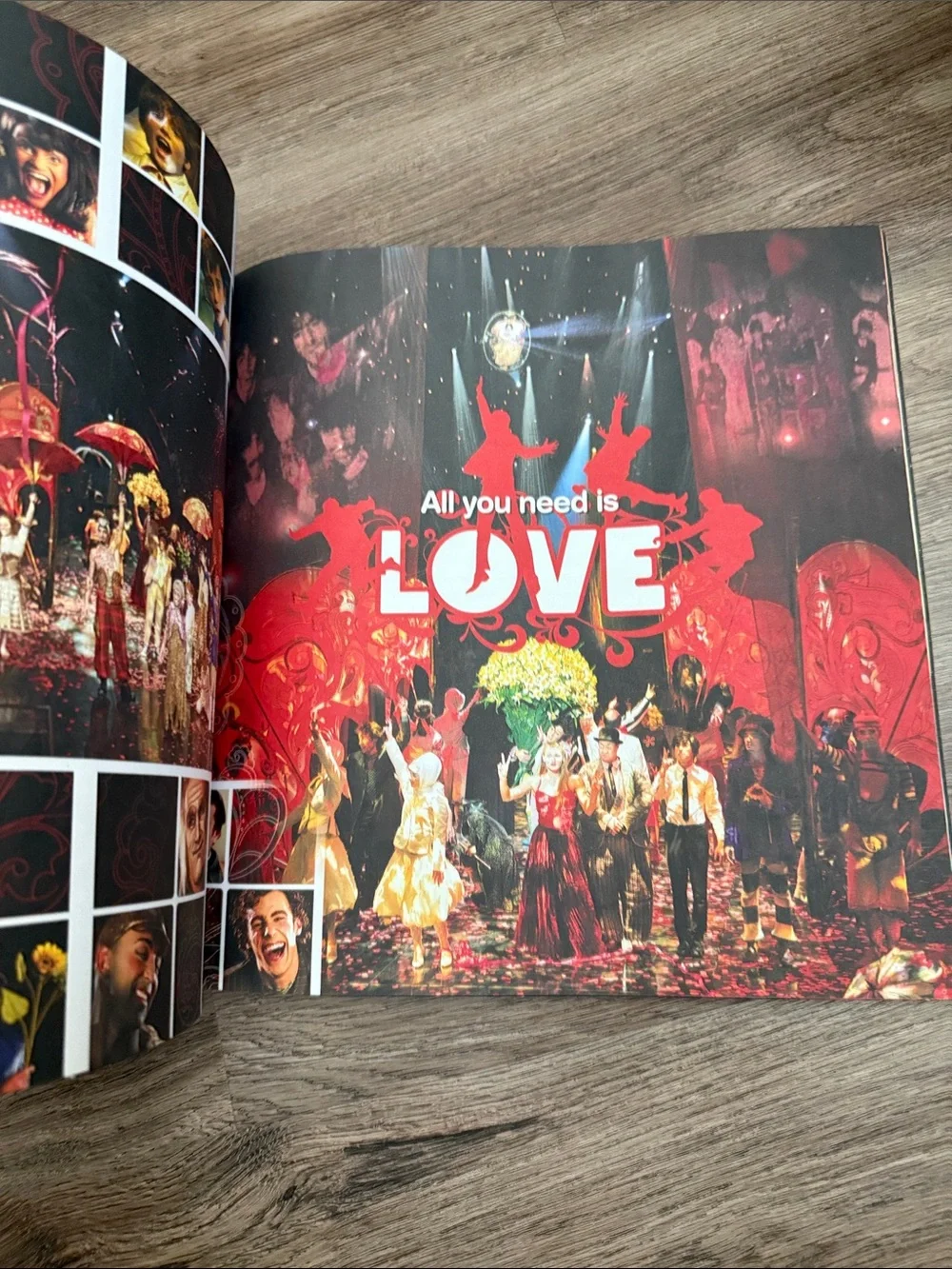 The Beatles LOVE Cirque du Soleil 2006 Souvenir Program Book The Mirage